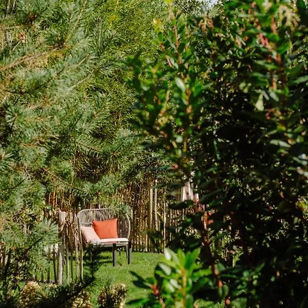 Maison Pavlov - Restaurant & Hotel Le Bouscat